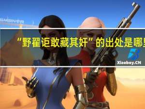 “野翟讵敢藏其奸”的出处是哪里