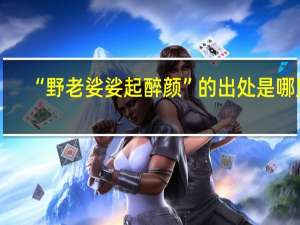 “野老娑娑起醉颜”的出处是哪里