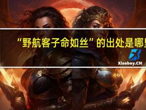 “野航客子命如丝”的出处是哪里