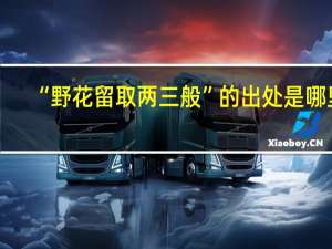 “野花留取两三般”的出处是哪里