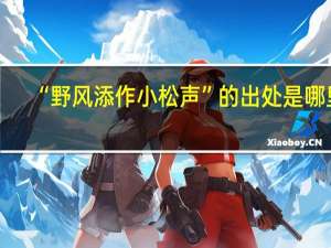“野风添作小松声”的出处是哪里