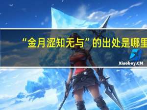 “金月涩知无与”的出处是哪里