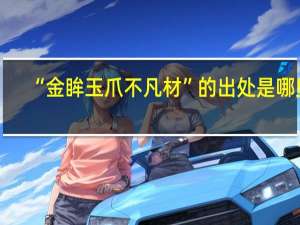 “金眸玉爪不凡材”的出处是哪里
