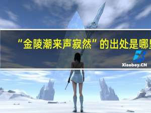 “金陵潮来声寂然”的出处是哪里
