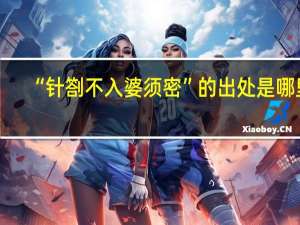 “针劄不入婆须密”的出处是哪里