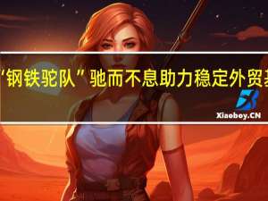 “钢铁驼队”驰而不息 助力稳定外贸基本盘