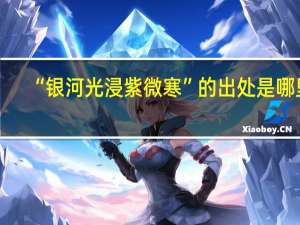 “银河光浸紫微寒”的出处是哪里