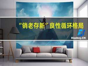 “销老存新”良性循环格局：岁月知味东莞仓储基地