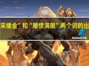 “错采缕金”和“雕愦满眼”两个词的出处及含义