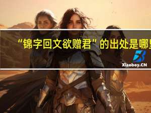 “锦字回文欲赠君”的出处是哪里