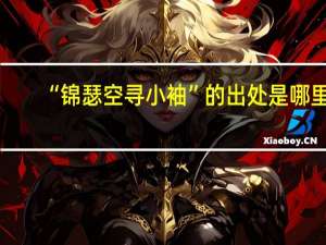 “锦瑟空寻小袖”的出处是哪里