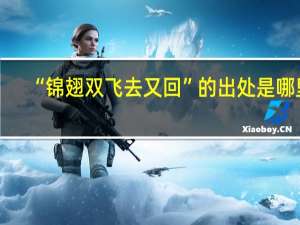 “锦翅双飞去又回”的出处是哪里