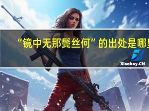 “镜中无那鬓丝何”的出处是哪里