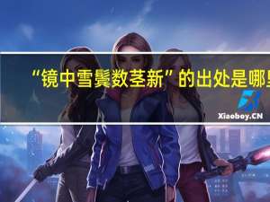 “镜中雪鬓数茎新”的出处是哪里