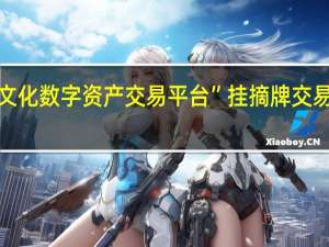 “长三角文化数字资产交易平台”挂摘牌交易市场正式开放