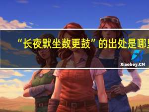 “长夜默坐数更鼓”的出处是哪里