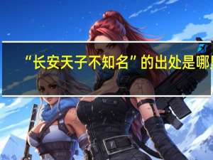 “长安天子不知名”的出处是哪里