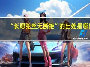 “长愿弦丝无断绝”的出处是哪里