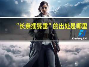 “长条插鬓垂”的出处是哪里
