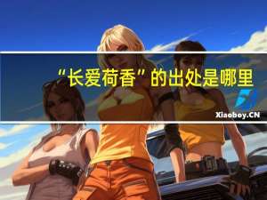 “长爱荷香”的出处是哪里