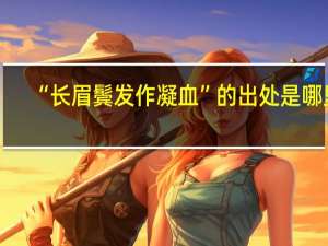“长眉鬓发作凝血”的出处是哪里