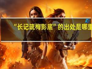 “长记疏梅影底”的出处是哪里