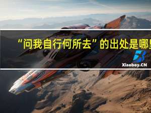 “问我自行何所去”的出处是哪里