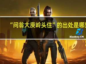 “问翁大庾岭头住”的出处是哪里