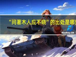“问著木人应不晓”的出处是哪里