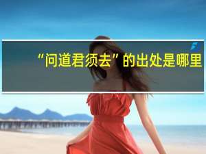 “问道君须去”的出处是哪里