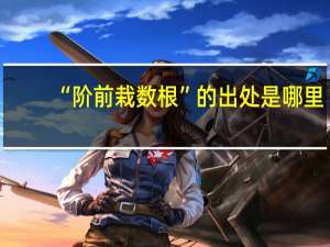 “阶前栽数根”的出处是哪里