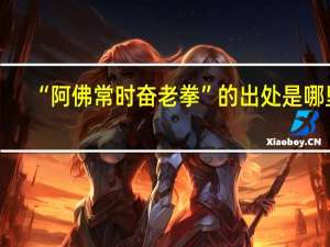 “阿佛常时奋老拳”的出处是哪里