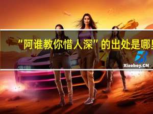 “阿谁教你惜人深”的出处是哪里
