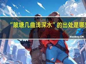 “陂塘几曲浅深水”的出处是哪里