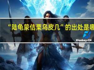 “陆龟蒙佶栗乌皮几”的出处是哪里