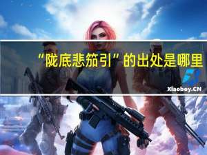 “陇底悲笳引”的出处是哪里