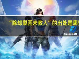 “除却梨园未教人”的出处是哪里
