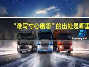 “难写寸心幽怨”的出处是哪里