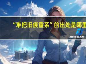 “难把旧痕重系”的出处是哪里