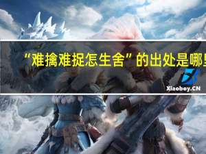 “难擒难捉怎生舍”的出处是哪里