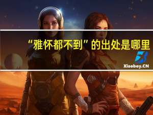 “雅怀都不到”的出处是哪里