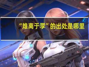 “雉离于罦”的出处是哪里