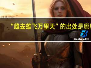 “雌去雄飞万里天”的出处是哪里