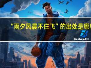 “雨夕风晨不住飞”的出处是哪里