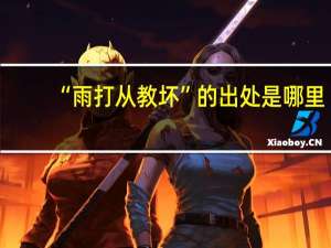 “雨打从教坏”的出处是哪里