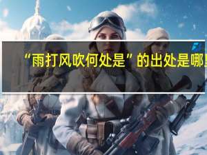 “雨打风吹何处是”的出处是哪里