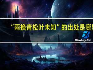 “雨换青松叶未知”的出处是哪里