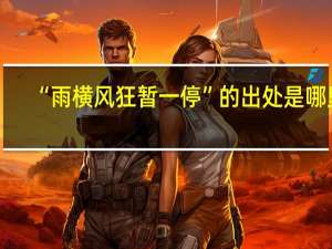 “雨横风狂暂一停”的出处是哪里