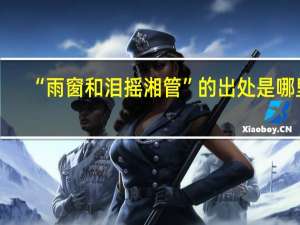 “雨窗和泪摇湘管”的出处是哪里