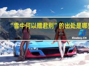 “雪中何以赠君别”的出处是哪里